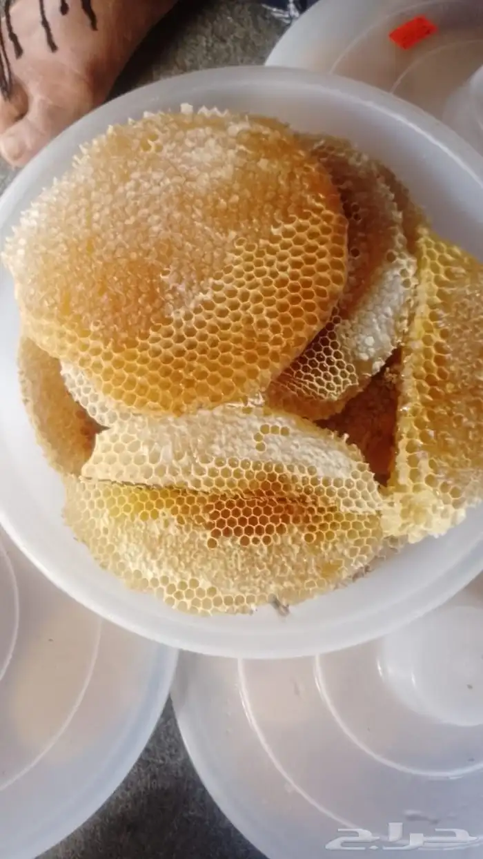 عسل جنوبي سدر وسمره 1