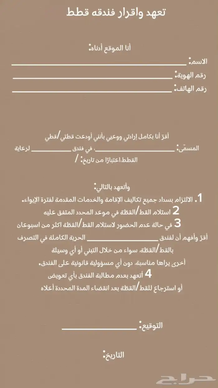 فندقه قطط وطيور عنيزه 1