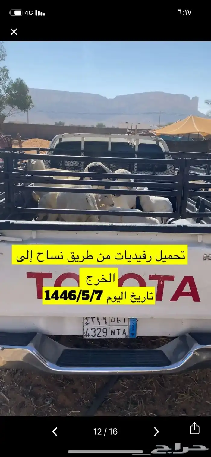 المزاحميه توصيل حلال وغيره 4