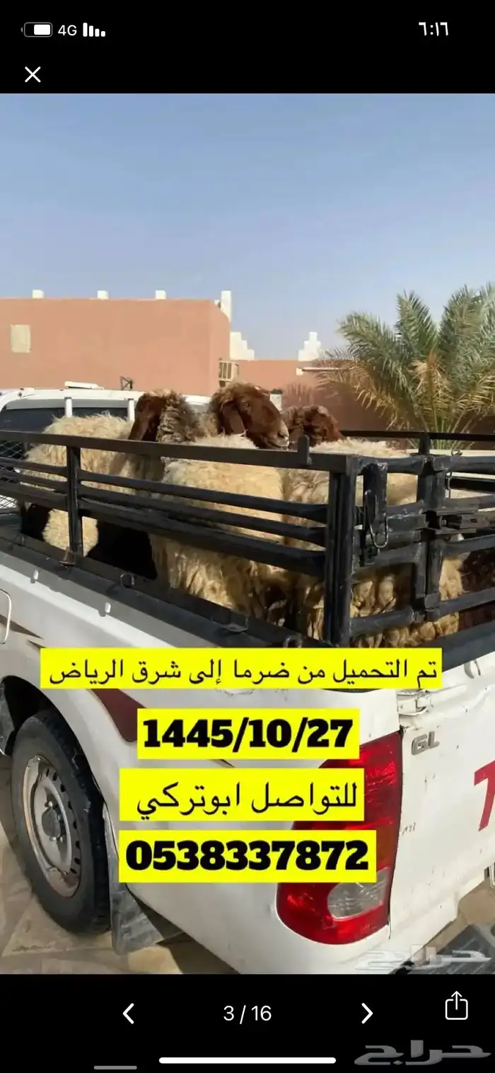 المزاحميه توصيل حلال وغيره 1