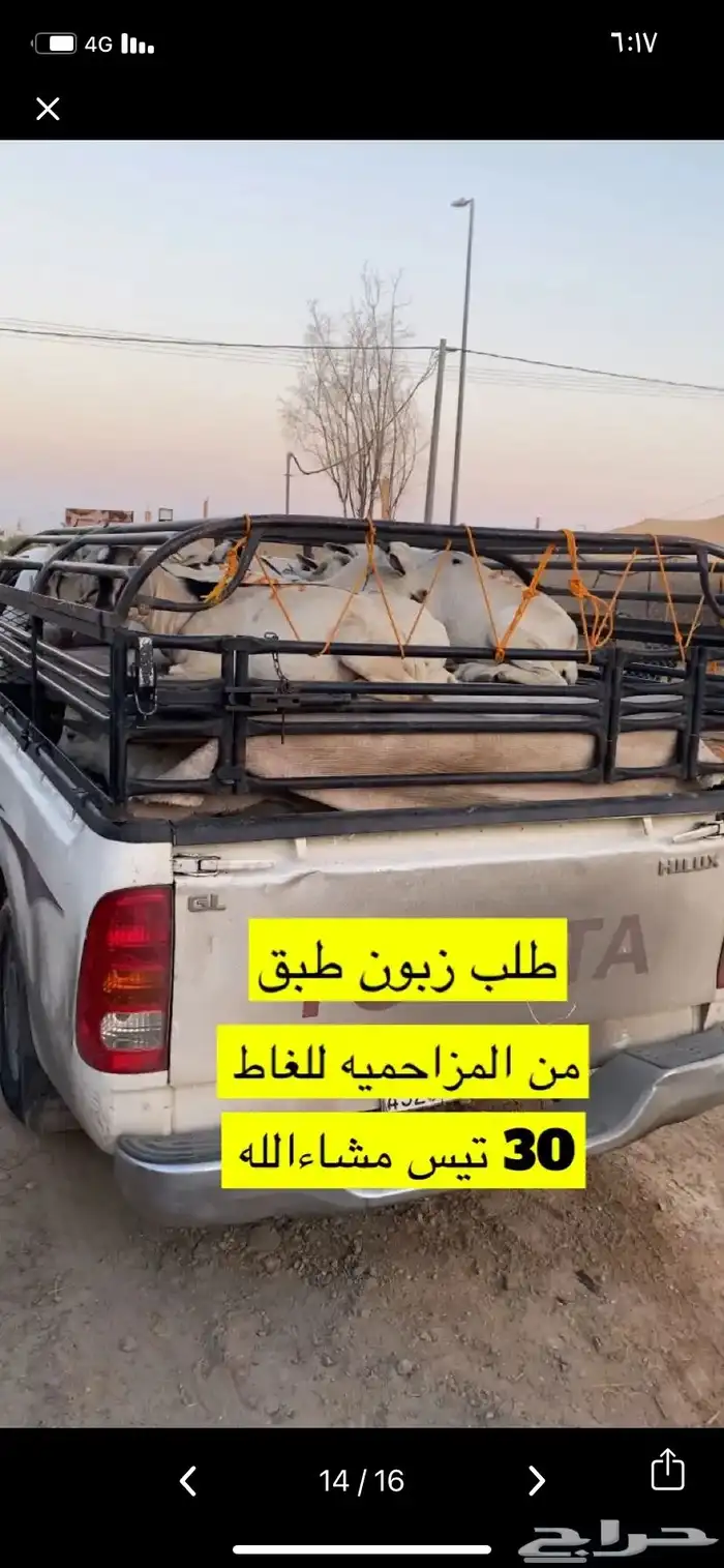المزاحميه توصيل حلال وغيره 6