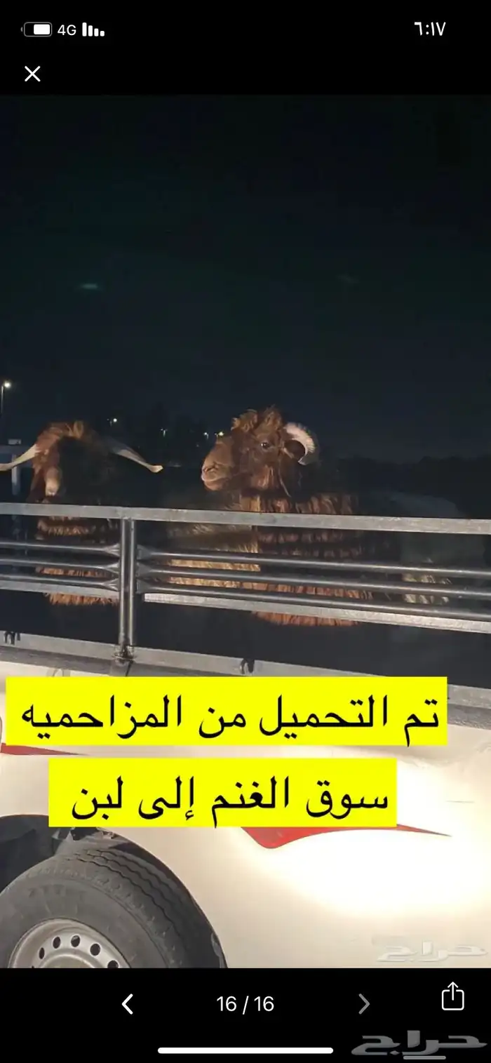 المزاحميه توصيل حلال وغيره 3