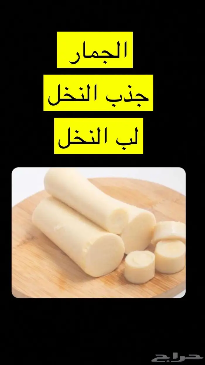 جمار   جذب النخل   لب النخل 0
