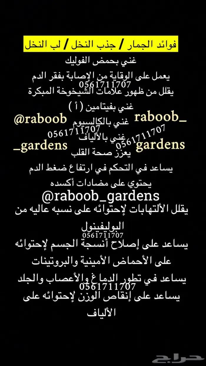 جمار   جذب النخل   لب النخل 1