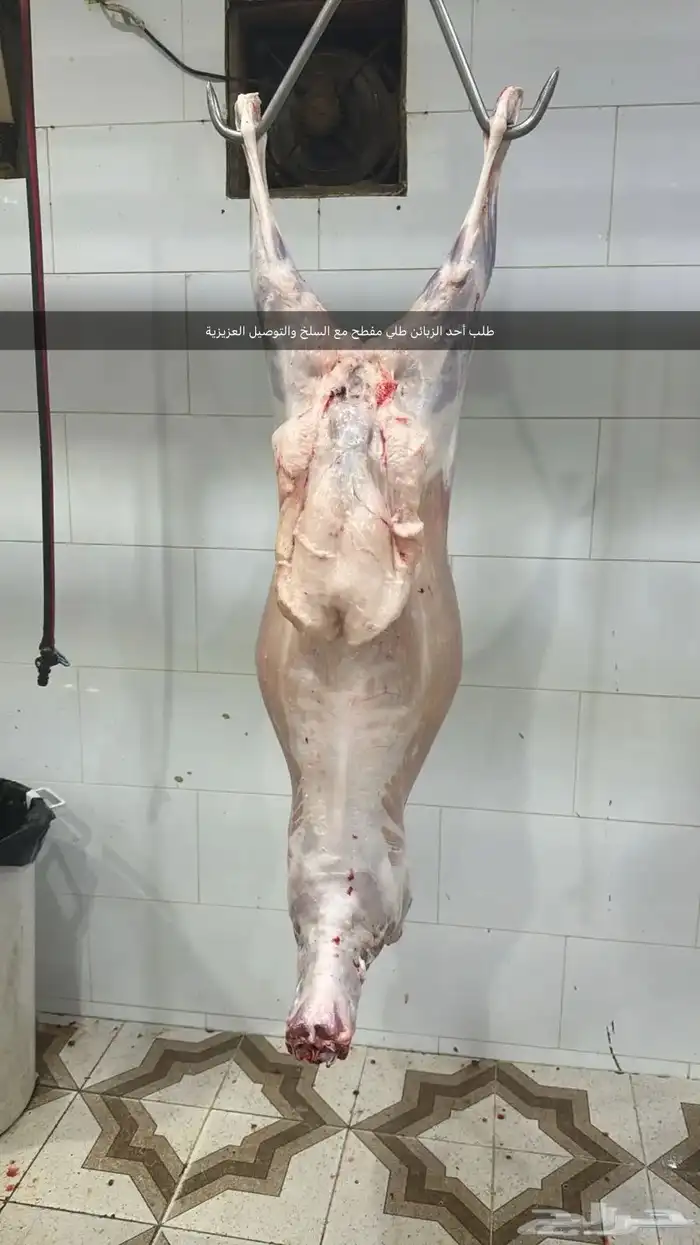ذبايح لبيع مع السلخ والتوصيل حري ذبائح مناسبات عقيقه ثلاجه 2