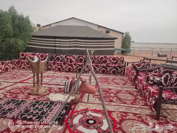 خيم اوروبية للإيجار وكنب جميع الانواع للإيجار 15