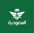 حجز رحلات دولية وداخلية بأسعار مميزة عن طريق الاميال 0