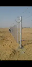 زراعه نخيل 9