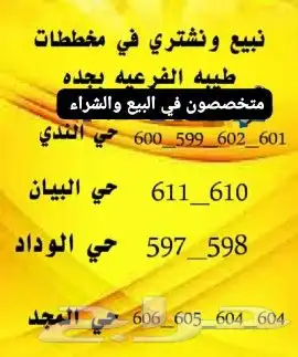 بيع وشراء تسويق مخططات طيبه الفرعيه يوجد لدينا عروض مميزه 2