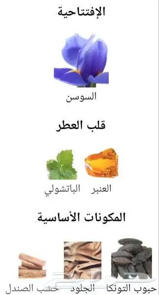 عطربرادلوم انتنس100ملي سعر400تسترعطروان مليون 100ملي بسعر220 1