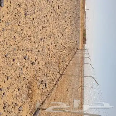 شبوك مزارع الرياض الجله تبراك القرنه شقراء السليل الوادي 0