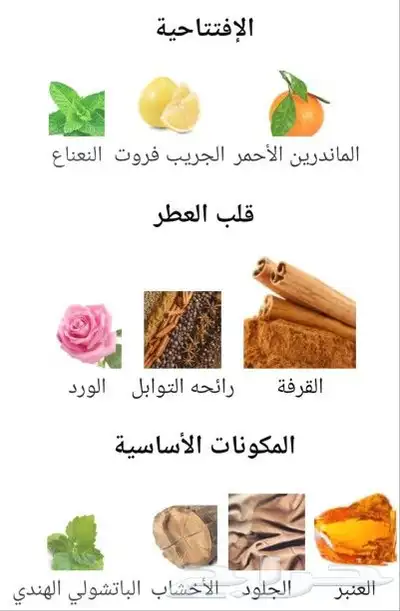 عطربرادلوم انتنس100ملي سعر400تسترعطروان مليون 100ملي بسعر220 3