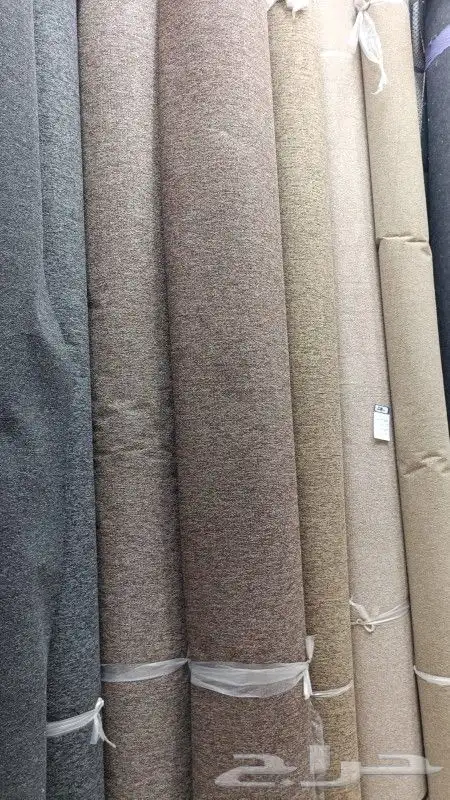موقعنا فى بيشه 8