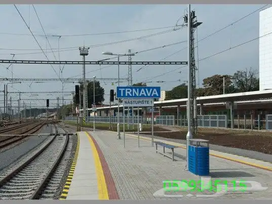 إعادة التدوير وفرز النفايات ورق بلاستك مخلفات عامة 6