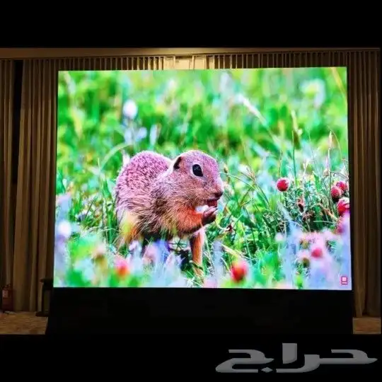 شاشات تأجير عرض تفاعليه 2