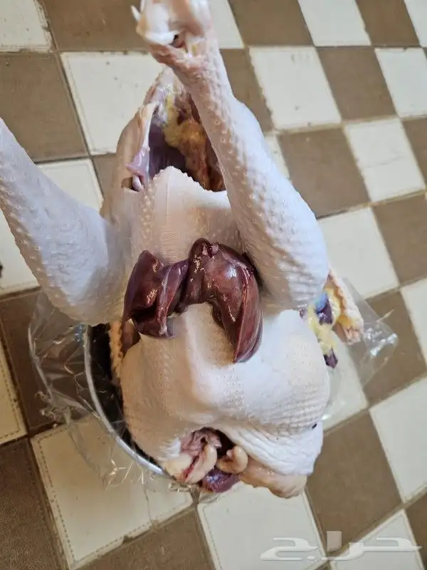 ديك ذبح طازج 3