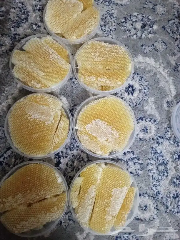 عسل سدر انتاج جديد عسل مضمون على المختبر وأهل الخبرة عسل مضم 0