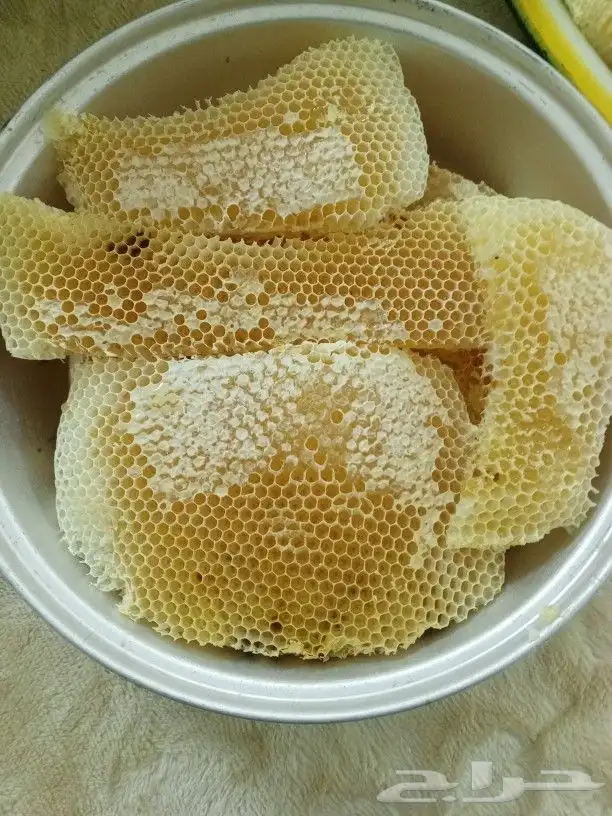 عسل سدر انتاج جديد عسل مضمون على المختبر وأهل الخبرة عسل مضم 1