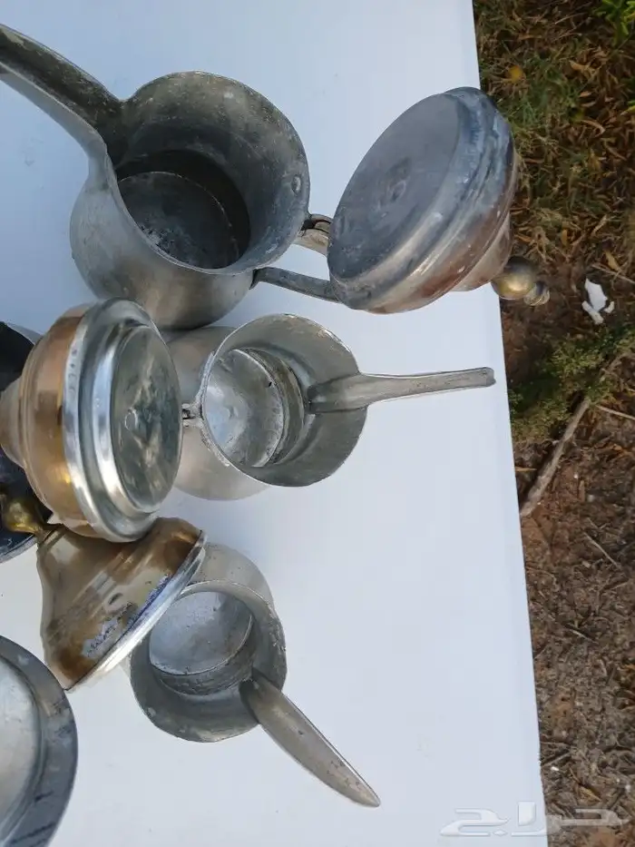 دلال صناعه. سوريا 6