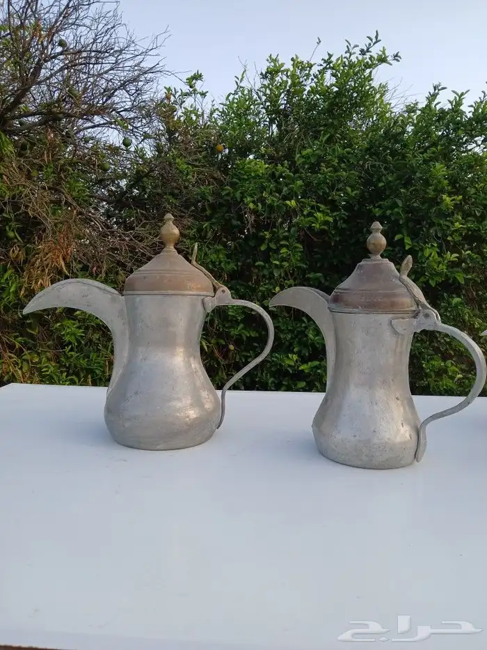 دلال صناعه. سوريا 8