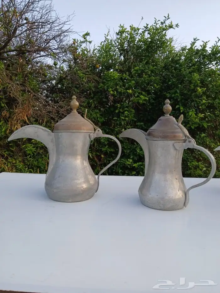 دلال صناعه. سوريا 7