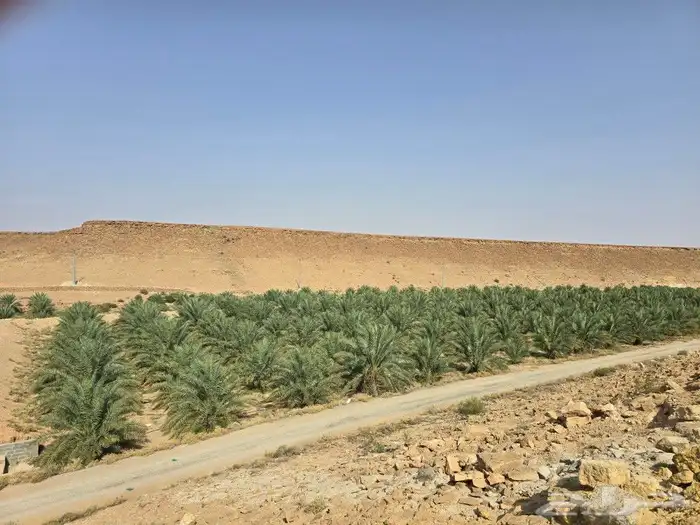فسايل مجدول 0