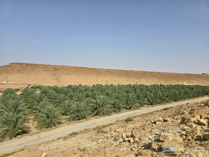 فسايل مجدول 1