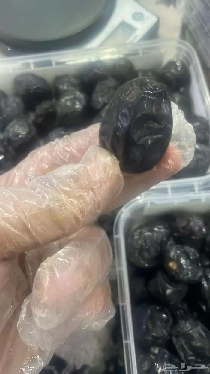 عجوة المدينة المنورة 5