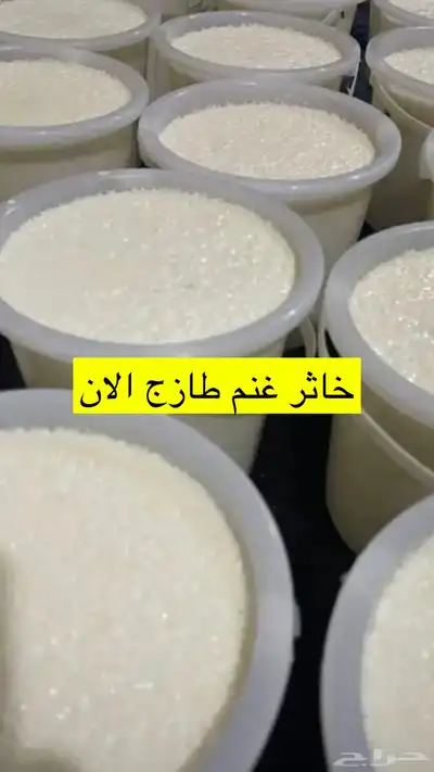 سمن اصفر سمن ابيض شايط وغير شايط خاثر غنم مقدوس بدنجان فاصو 11