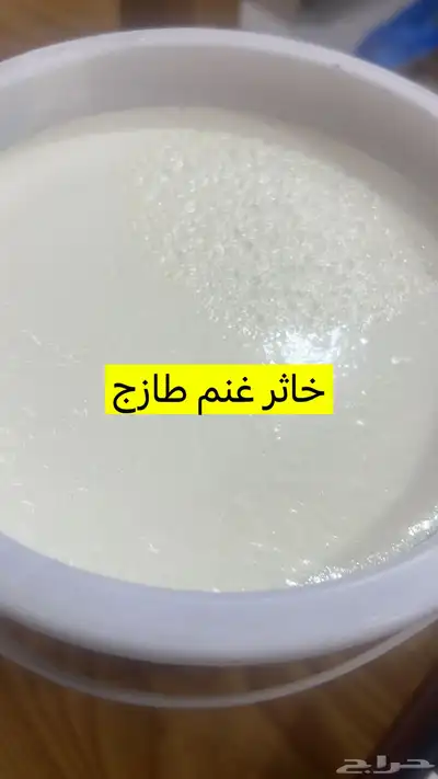 سمن اصفر سمن ابيض شايط وغير شايط خاثر غنم مقدوس بدنجان فاصو 8
