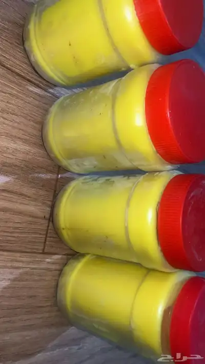 سمن اصفر سمن ابيض شايط وغير شايط خاثر غنم مقدوس بدنجان فاصو 1