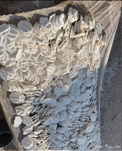 سمن اصفر سمن ابيض شايط وغير شايط خاثر غنم مقدوس بدنجان فاصو 14
