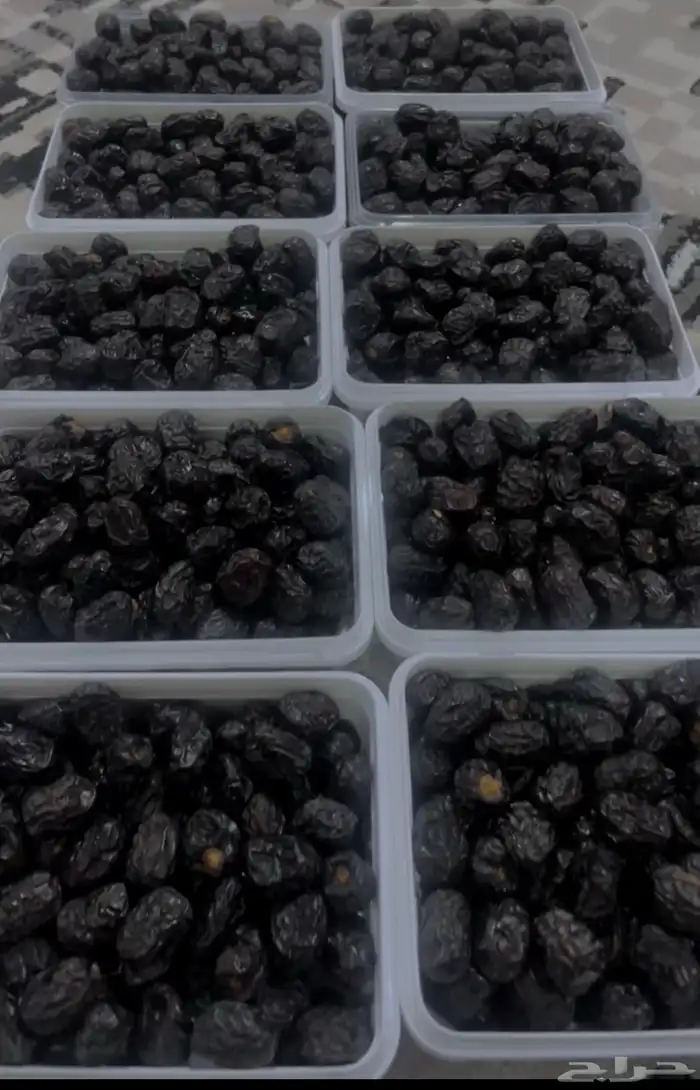 عجوة المدينة المنورة 4