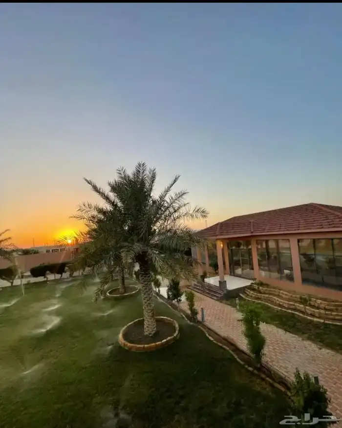 استراحة   غرف سكن عمالة في الخلف في ضرما للاستثمار 2