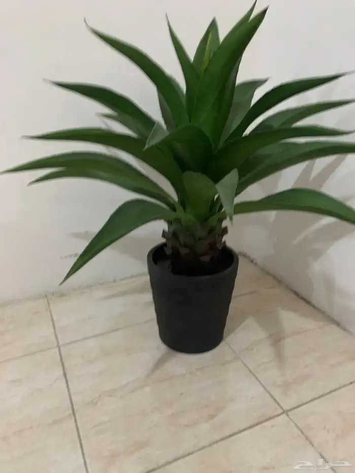 اثاث زينة نظيف 6