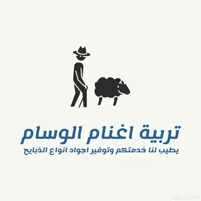 أغنام حري طليان و رخال وسواكن حمري وابيض 0