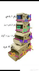 بياضه عش حضانه بيض كناري كروان كوكتيل روز فيشر بادجي 2