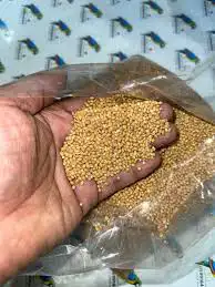 اكل طيور علف اعلاف حمام طيور الزينه بادجي كناري كروان روز 19