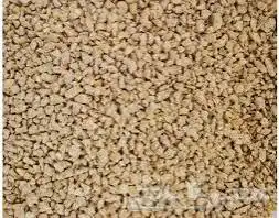 اكل طيور علف اعلاف حمام طيور الزينه بادجي كناري كروان روز 17
