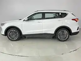 جيتور 2024 ابيض 0