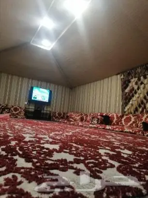 مخيم الاستراحة المودرن بالضاحية 1