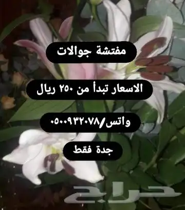 مفتشة جوالات 0