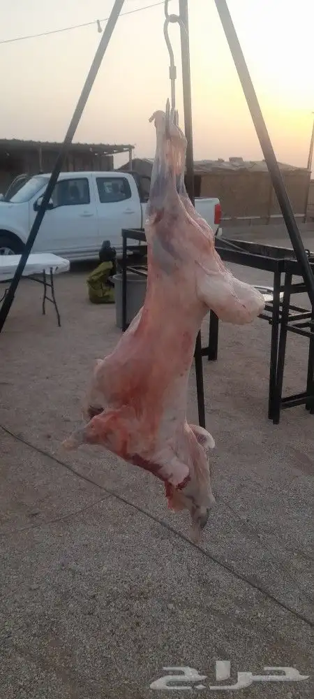 معلم مشاوي خارجيه متنقل نأتيكم اينما كنتم اتصل نصل 3