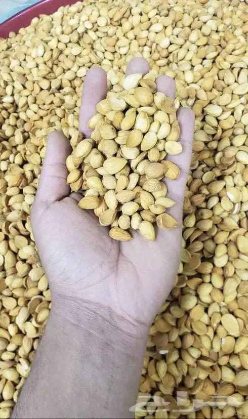زبيب رزقي يمني للوز البلدي خولاني عسل سدر بن خولاني يمني 1
