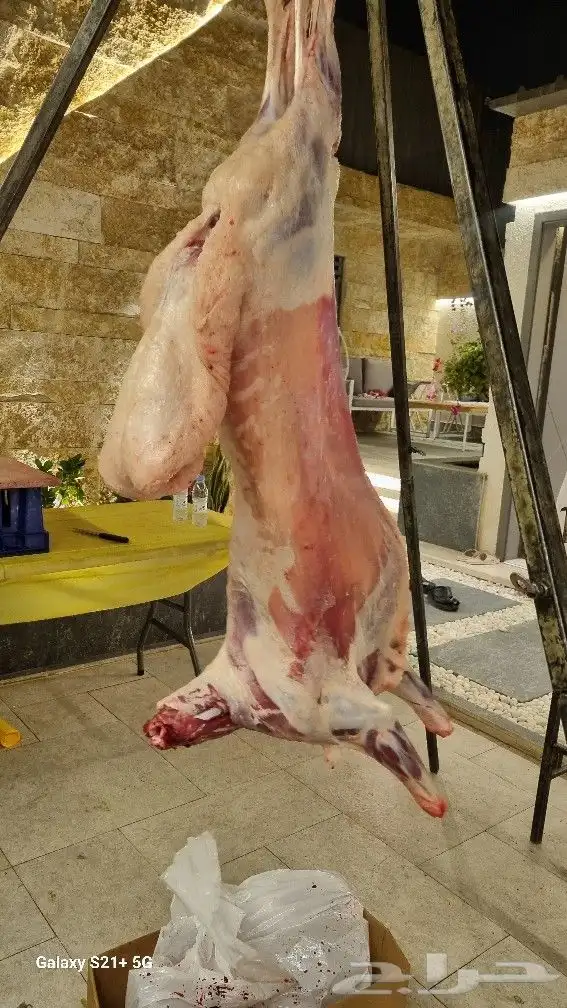 مشويات شوي خارجي شواي 0