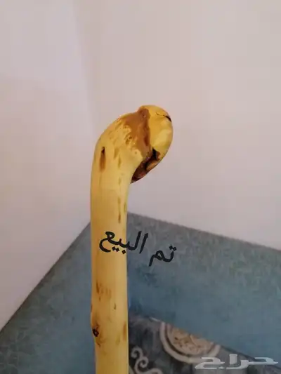 عصا للبيع ( تم البيع ) 2