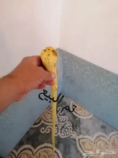 عصا للبيع ( تم البيع ) 9