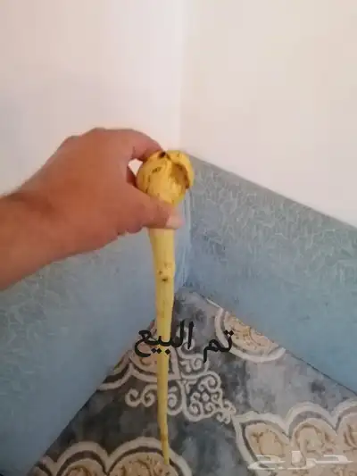 عصا للبيع ( تم البيع ) 10