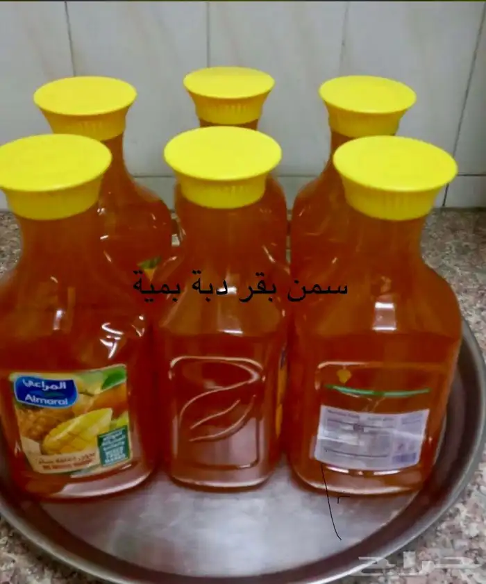 يوجد عندنا لبن يوميا حوامض وسمن 4