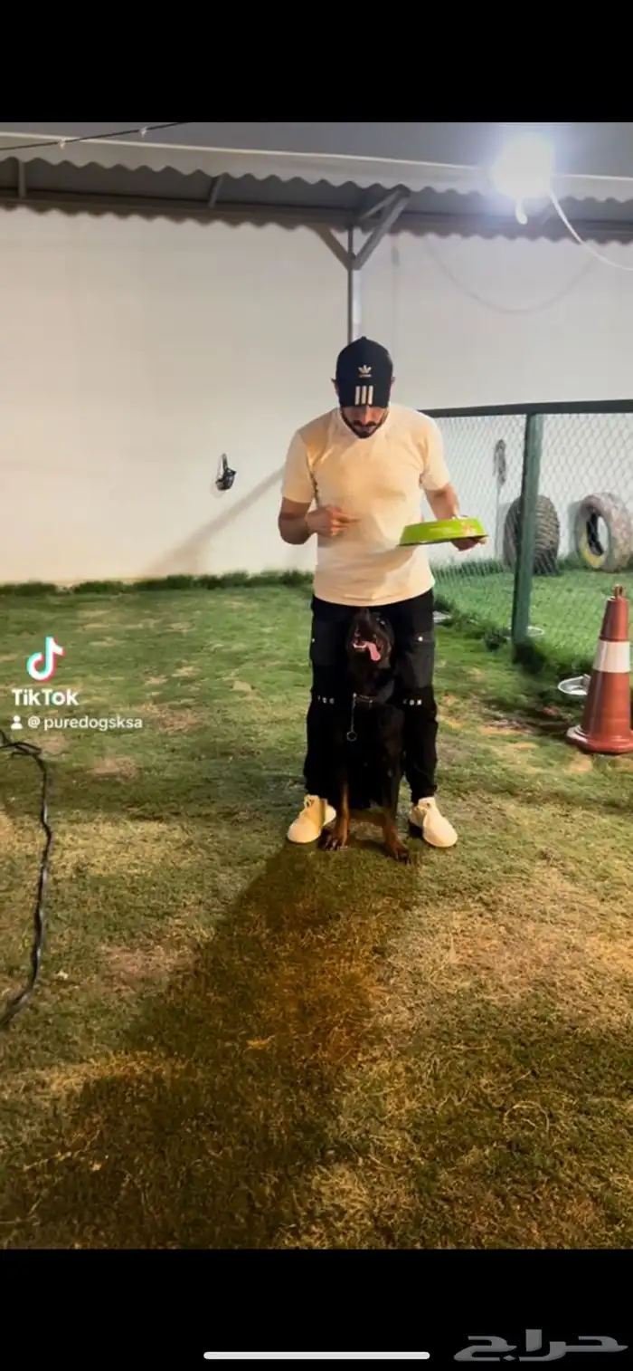 مدرب كلاب بالمنزل 6